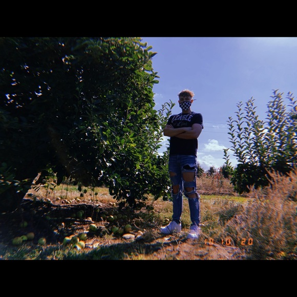 Meet your Posher, Posh - Picture 3 of 8